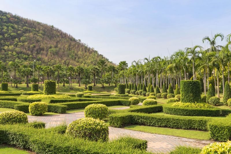 Tree Shaping and Pruning